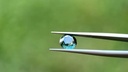 African Sapphire 8.32mm Round Teal