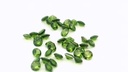Synthetic Soude Spinel 2.75mm Round Light Green