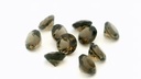 Smoky Quartz 5.50mm Round