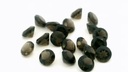 Smoky Quartz 3.50mm Round Dark