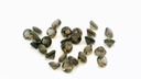 Smoky Quartz 3.50mm Round