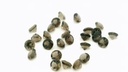 Smoky Quartz 3.00mm Round