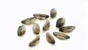 Smoky Quartz 8x4mm Marquise 
