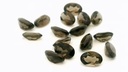Smoky Quartz 7x5mm Oval 