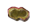 Watermelon Tourmaline 25x17x5mm Crystal Slice