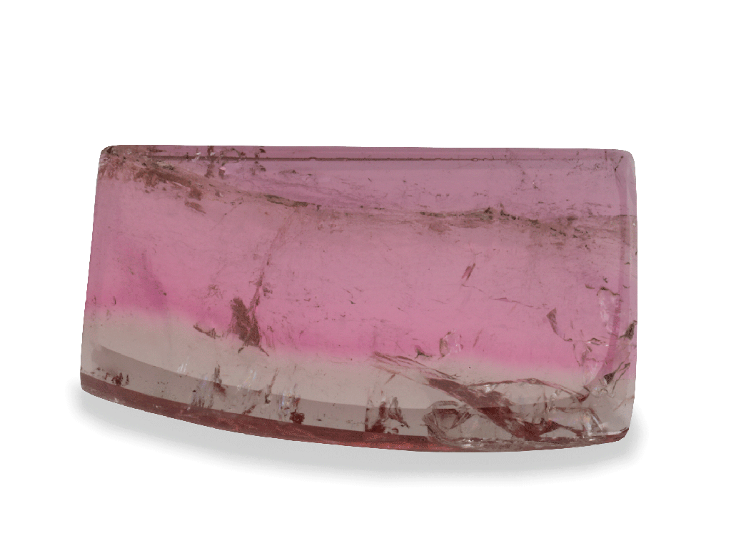 Watermelon Tourmaline 20.5x11.5mm Crystal Slice