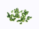 Synthetic Soude Spinel 1.50mm Round Light Green
