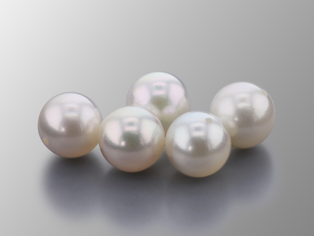 [JAW075] Akoya Pearl 7.50-8.00mm Round White