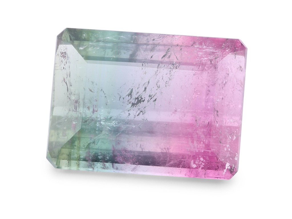 [UMOS1705X6] Bi Colour Tourmaline 16.65x12.35mm Emerald Cut