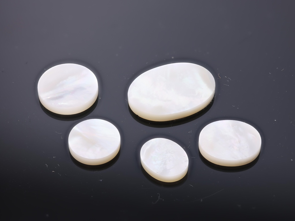 Mother of Pearl 12mm Round Disc