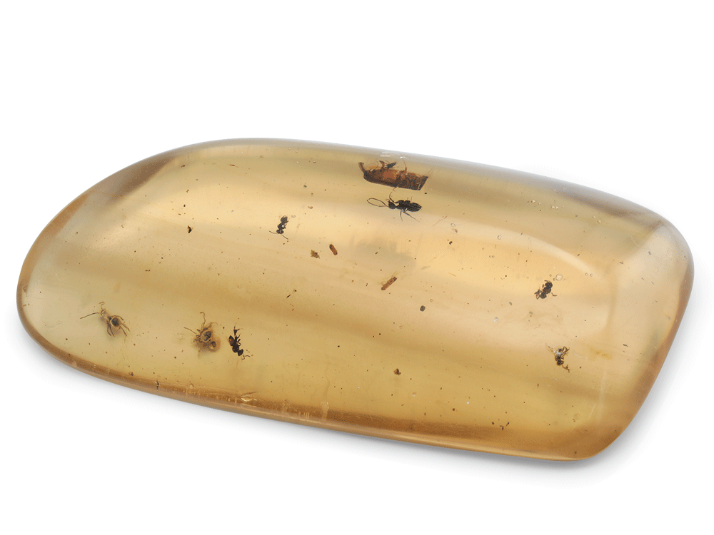 [AMBX3001] Colombian Copal Amber 100x50mm X 80x50mm with Insects