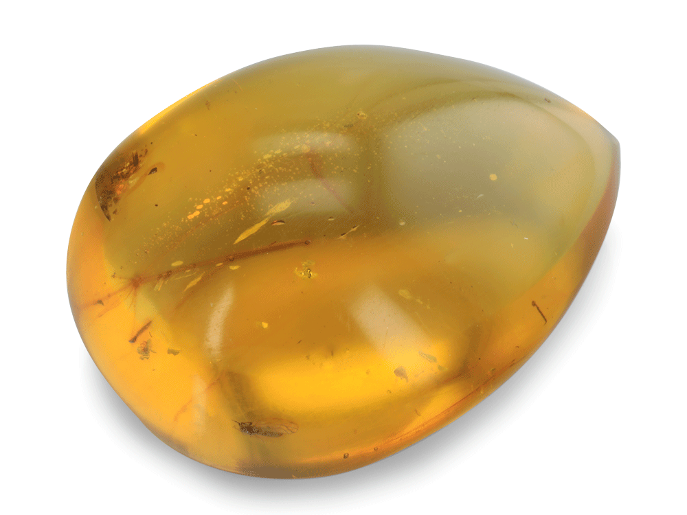 [AMBX3153] Dominican Amber 32x23mm Free Form